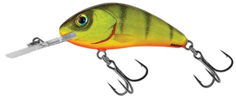 Salmo Wobler Rattlin Hornet 5.5F Natural Perch