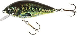 Jaxon Wobler hs karaś 6 FKA