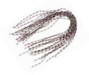 Soldarini Centipede Legs 2 chartreuse brown