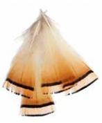 Soldarini Golden Pheasant 4 red fluo