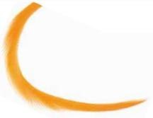 Soldarini Goose Biot 4 orange fluo