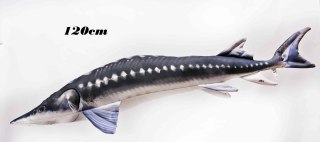 Gaby Ryba Maskotka Jesiotr