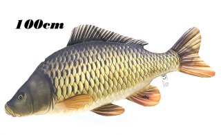 Gaby Ryba Maskotka Karp Gigant Pełnołuski