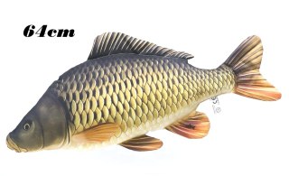 Gaby Ryba Maskotka Karp Pełnołuski