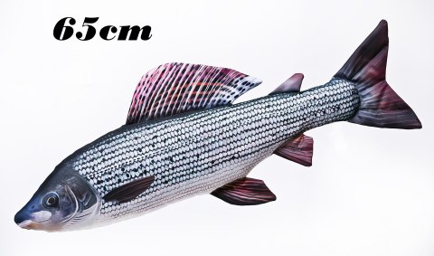 Gaby Ryba Maskotka Lipień