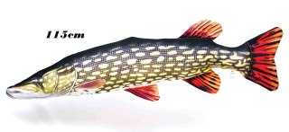 Gaby Ryba Maskotka Szczupak Gigant