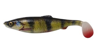 Savage Gear guma 4D Herring Shad 11cm perch (x40)