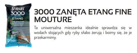 Sensas Zanęta 3000 Etang Fine Mouture 1kg