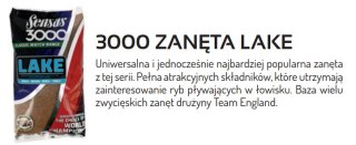 Sensas Zanęta 3000 Lake 1kg