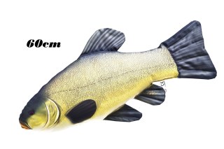 Gaby Ryba Maskotka Lin