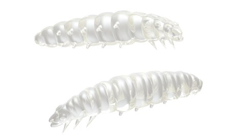 Libra Lures Larva 30mm 004 Silver Pearl Ser
