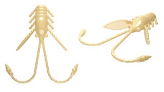 Libra Lures Pro Nymph 18mm 005 Cheese Kryl