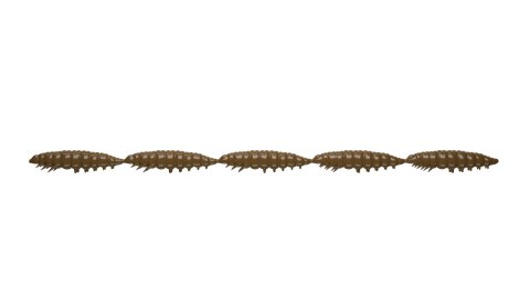 Libra Lures Larva Multi 25mm 038 Brown No Taste
