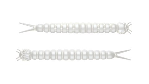 Libra Lures Slight Worm 38mm 004 Silver Pearl Kryl